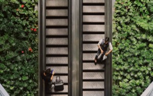 Two people on escalator, surrounded by plants.